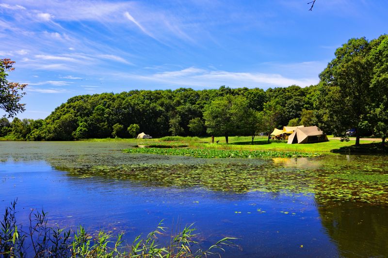 厚真町大沼野営場